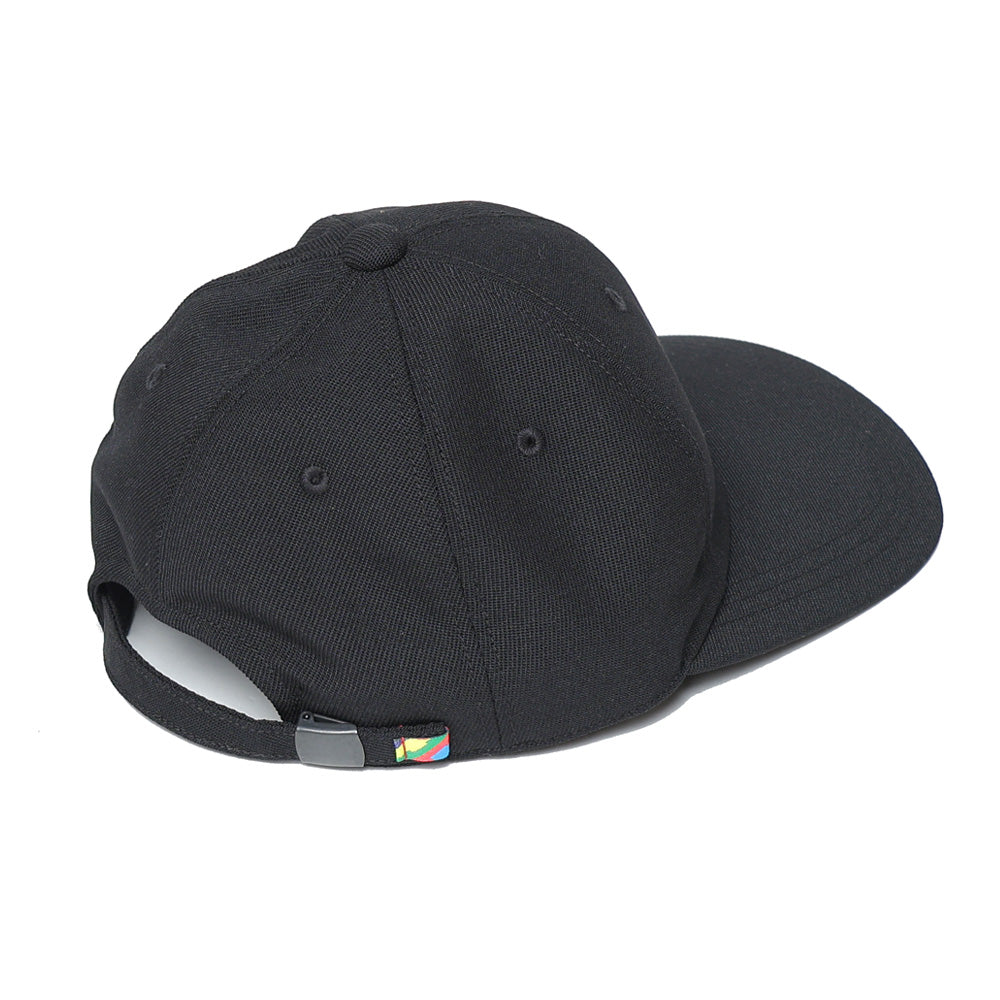 SFE 6 PANEL CAP