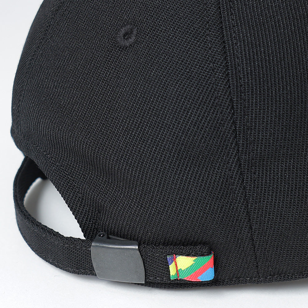 SFE 6 PANEL CAP