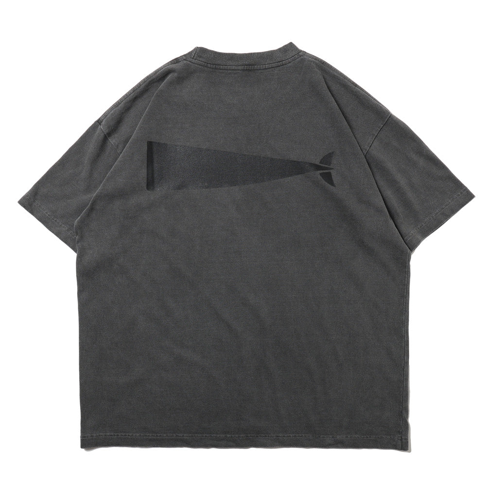 CACHALOT ORGANIC COTTON SS PIGMENT DYE 261ATDS-CSM23 (261ATDS