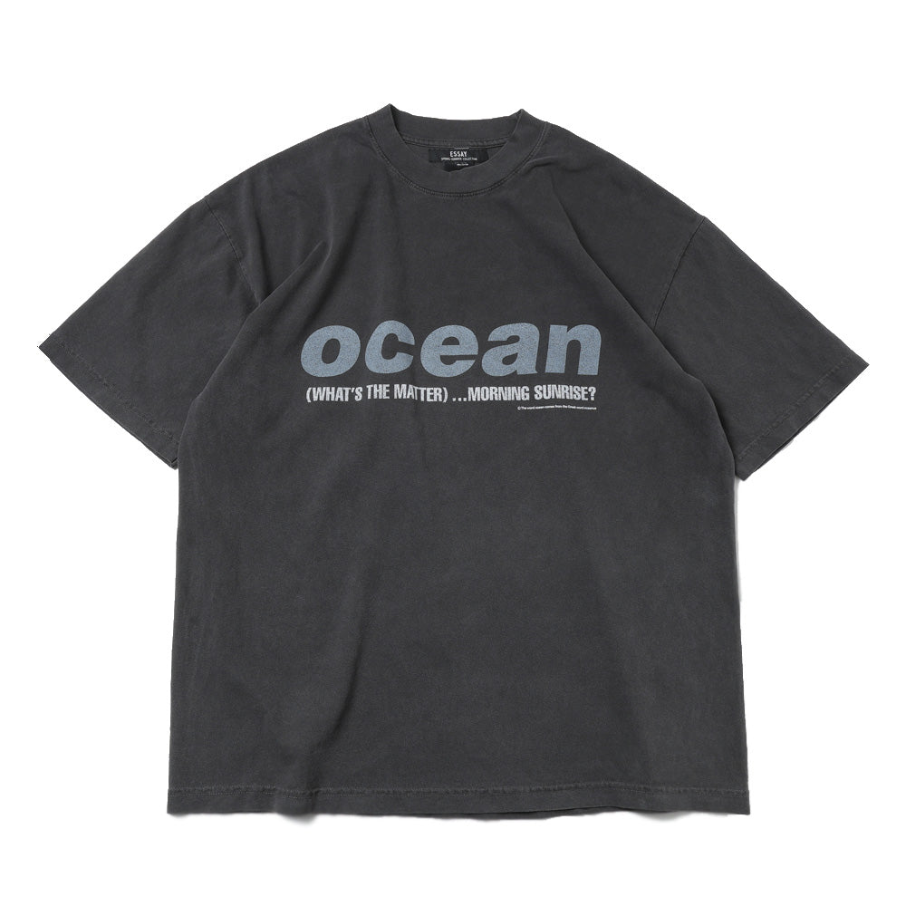ESSAY(エッセイ)OVERSIZED GARMENT DYE T-SHIRT (ES22TS-02/B) | ESSAY