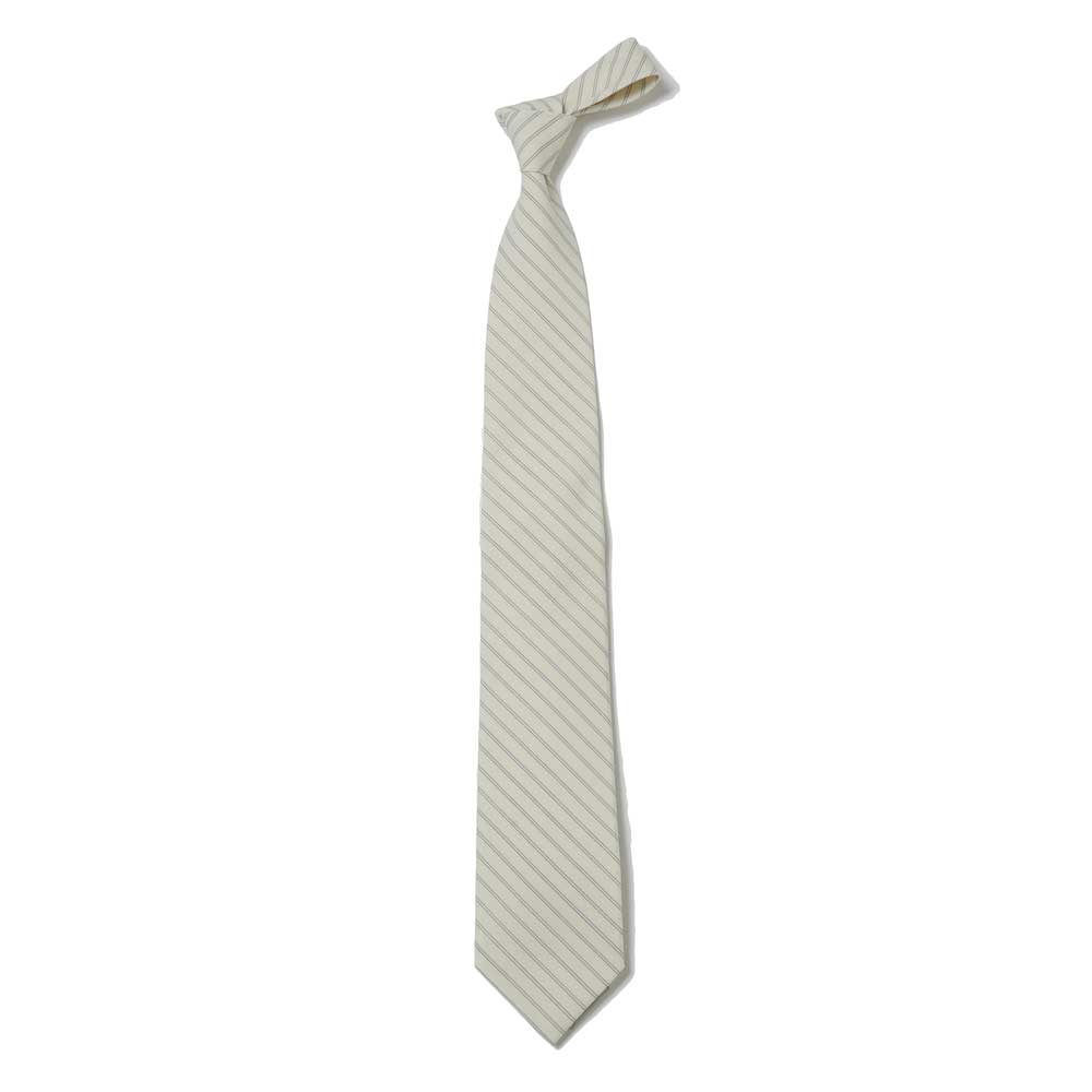 AURALEE) SUPER FINE WOOL STRIPE TIE (A26ST03WW) | AURALEE