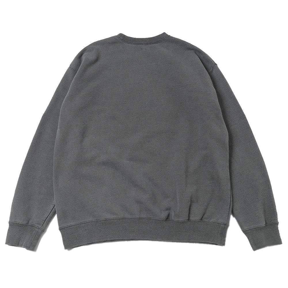type100(printed)
