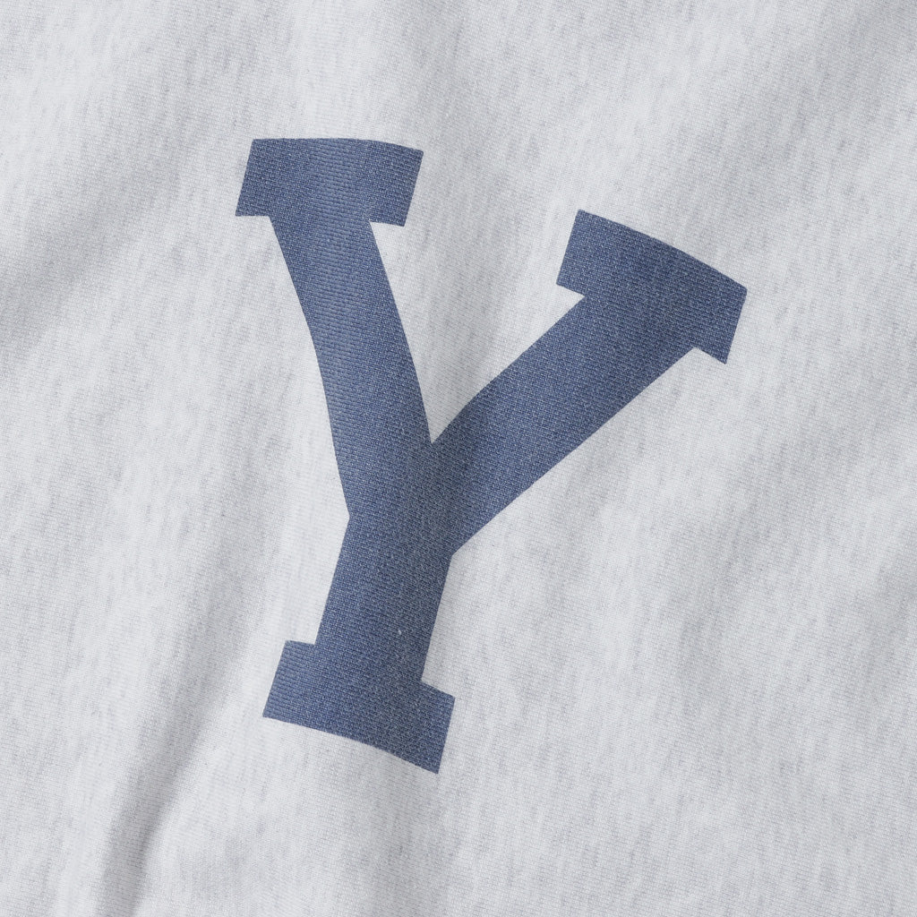 PRINT Sweat Crew-neck P/O Big (ALE-Y)