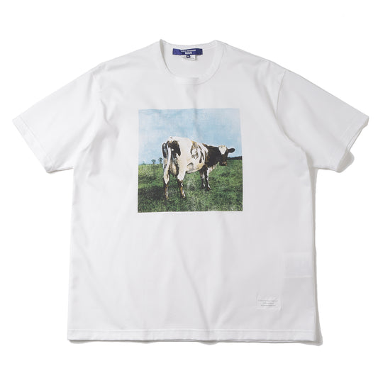 Cotton-filled jersey product print T011