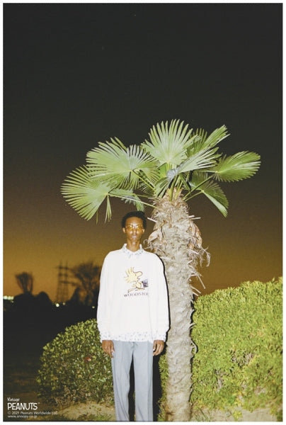 WOODSTOCK Water-repellent Pullover Sweater