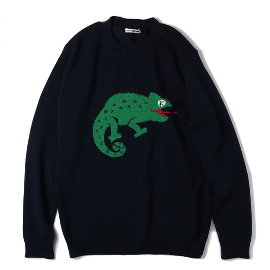 chameleon intersia pullover