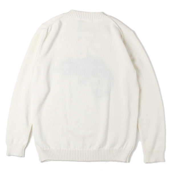 chameleon intersia pullover