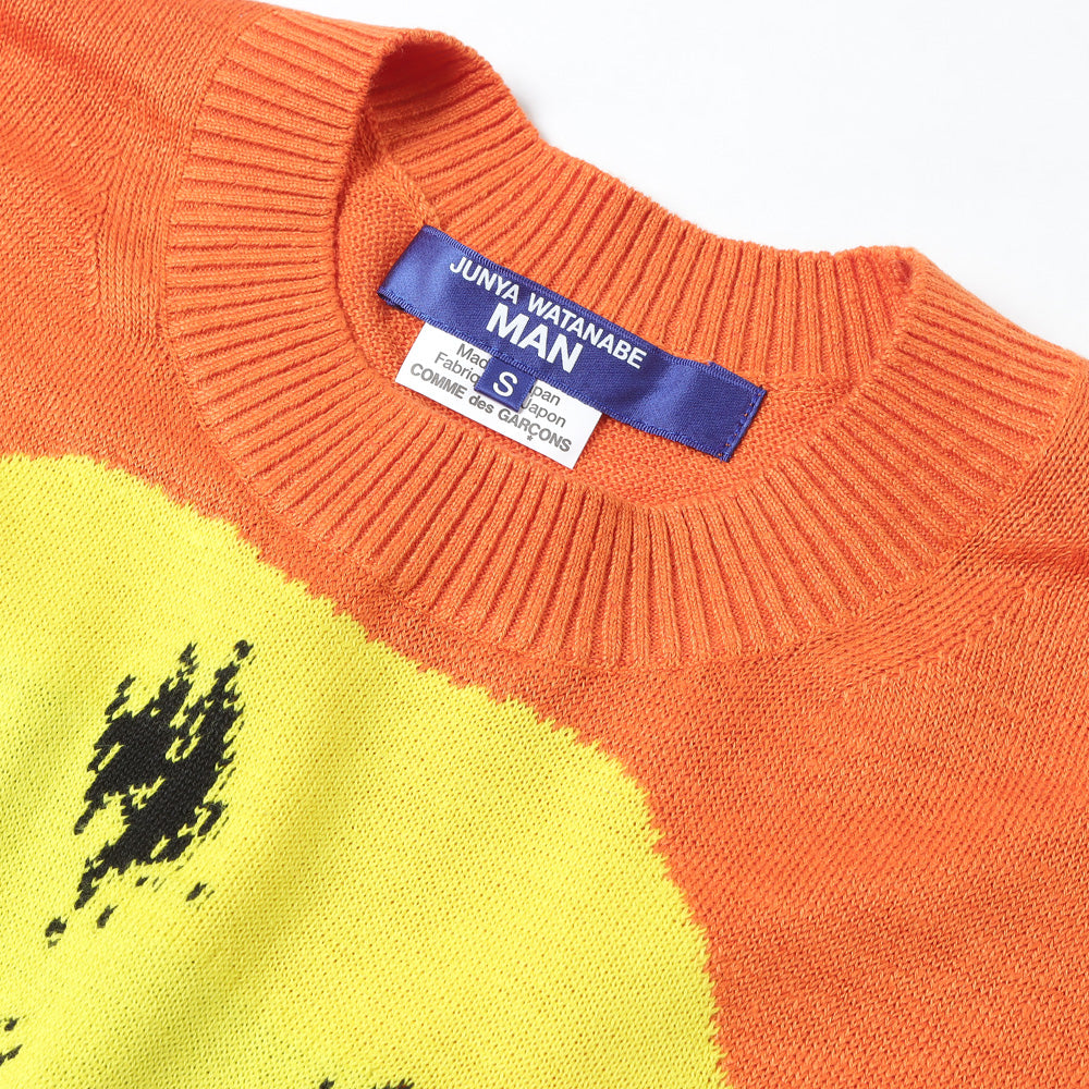 Multi-material MIX Jersey Intarsia Andy Warhol N006