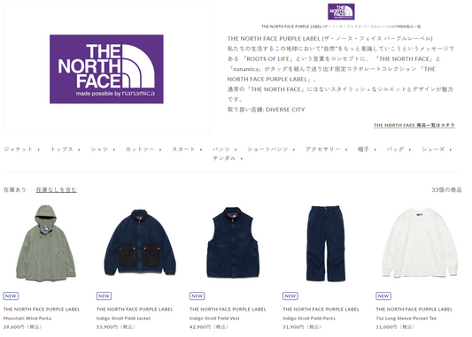 THE NORTH FACE PURPLE LABEL 新入荷