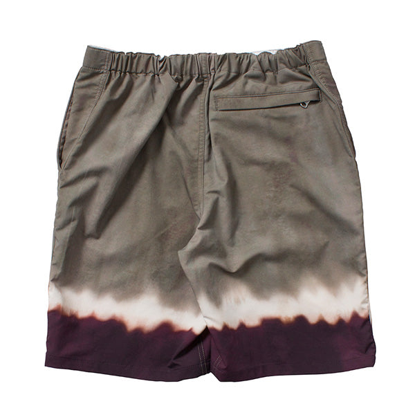 APEX FLASHDRY Print Shorts