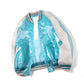 TRANSPARENT EMBROIDERY SOUVENIR JACKET