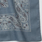 CS BANDANA