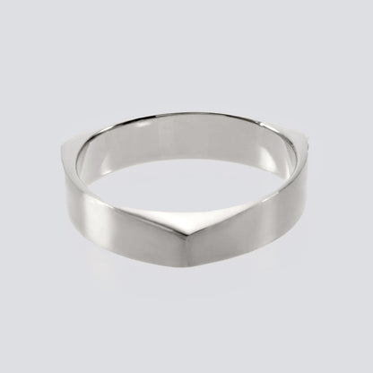 Triangle 3D Ring with Hair Line