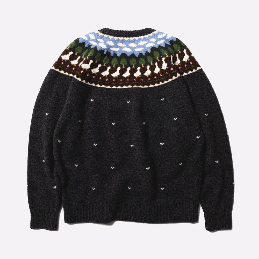 Unlikely Fair Isle Duck