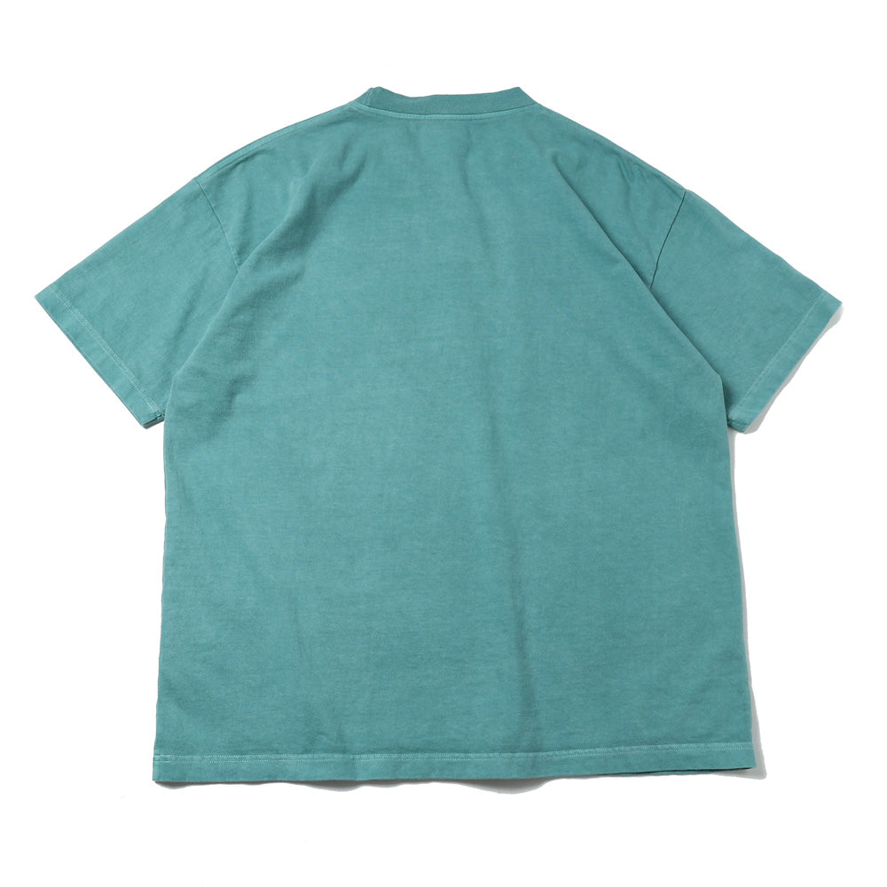 CACHALOT ORGANIC COTTON SS PIGMENT DYE 261ATDS-CSM19 (261ATDS