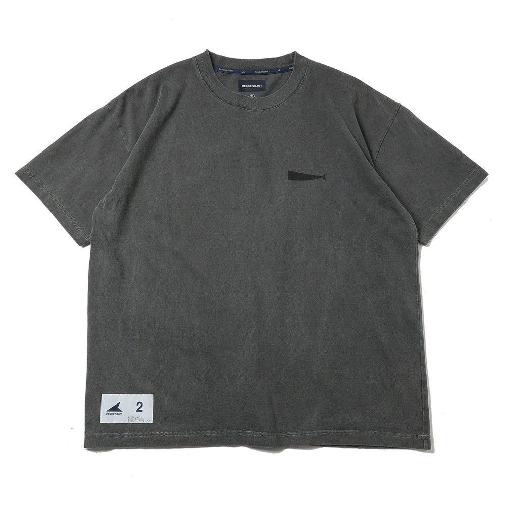 VIEW ORGANIC COTTON SS PIGMENT DYE