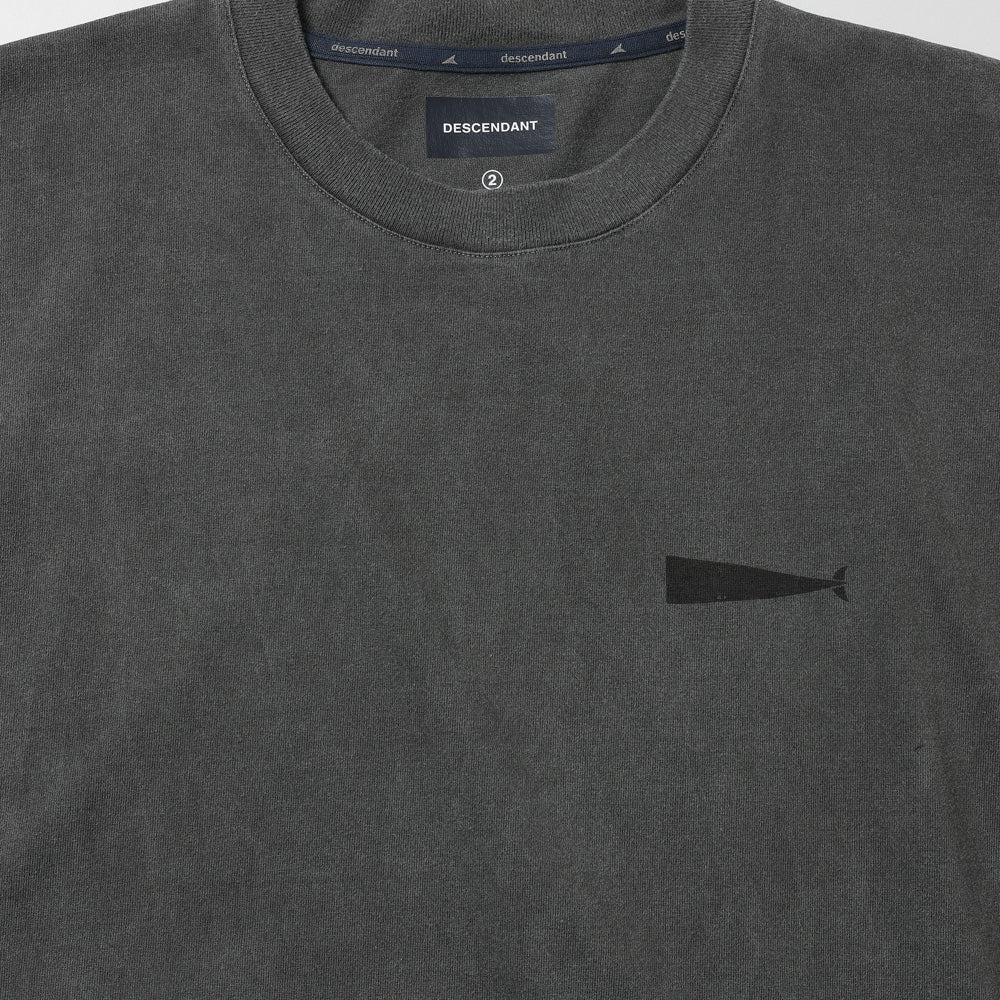 VIEW ORGANIC COTTON SS PIGMENT DYE