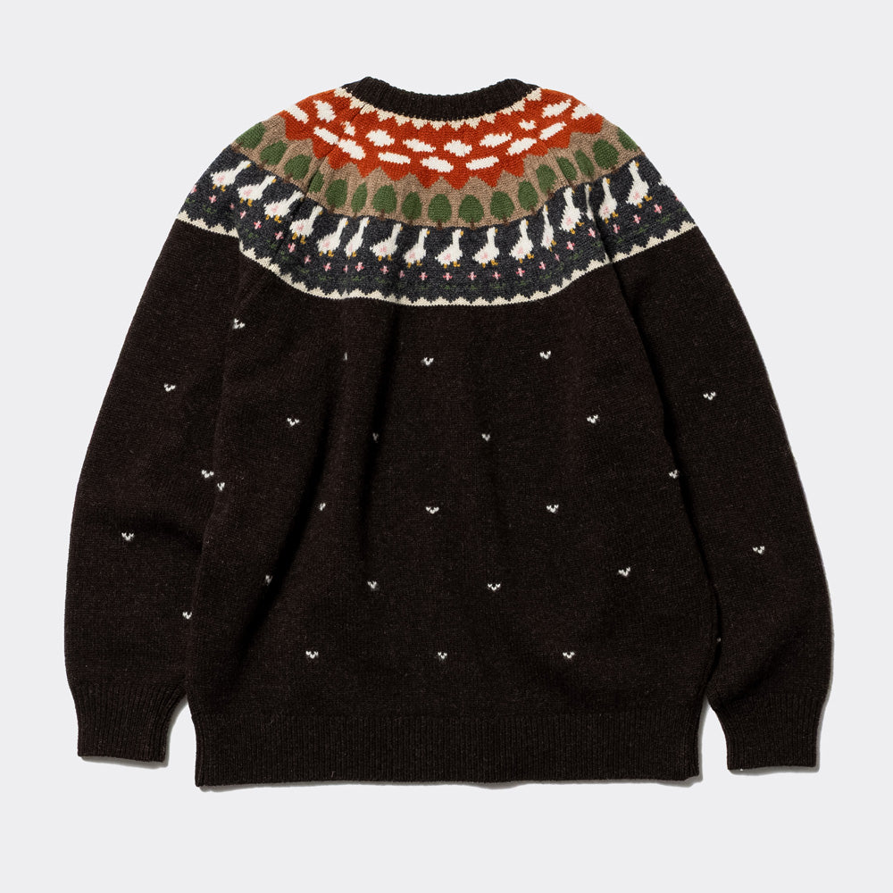 Unlikely Fair Isle Duck