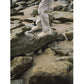 CONVERSE × nonnative ALL STAR GORE-TEX CENTERZIP OX / NN
