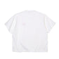 26WBM-T06233