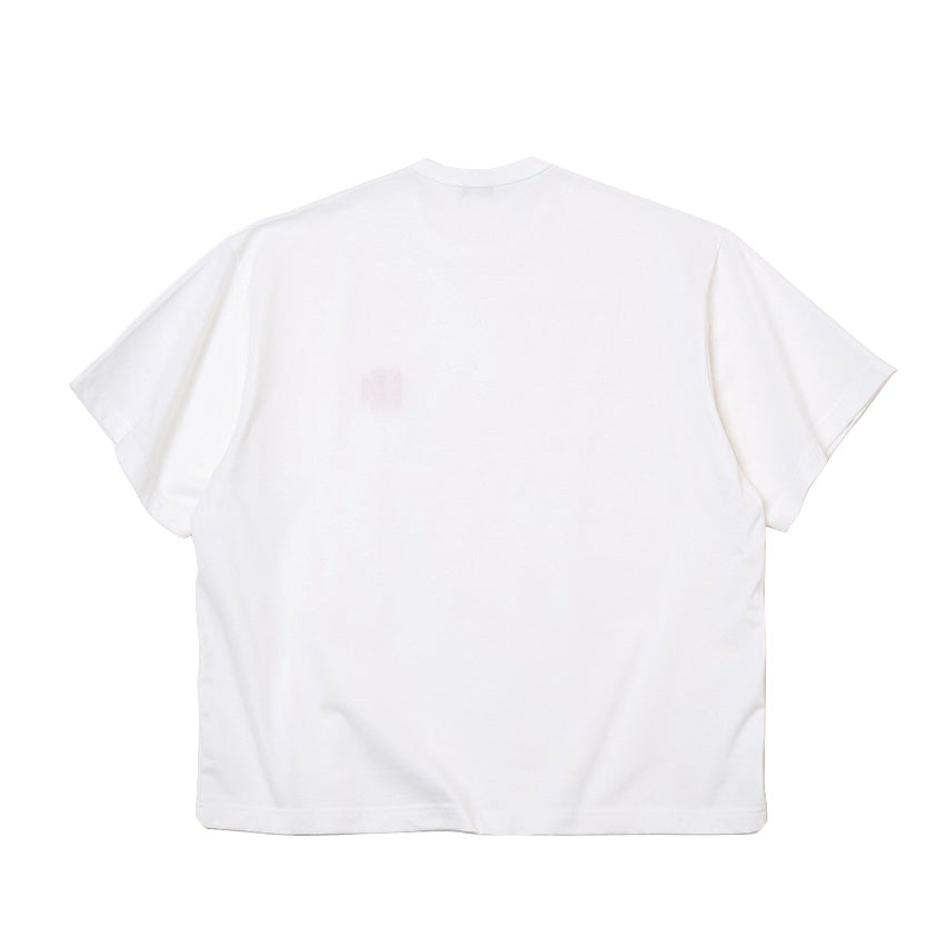 26WBM-T06233