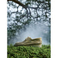 Timberland x nonnative 3 EYE CLASSIC 6/13 pre-sale