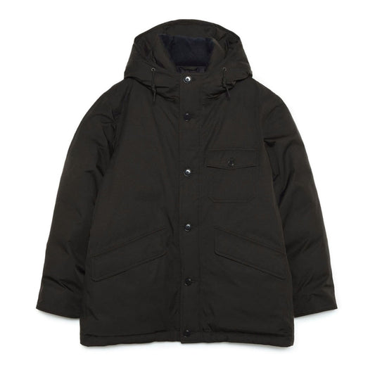 2L GORE-TEX Down Coat