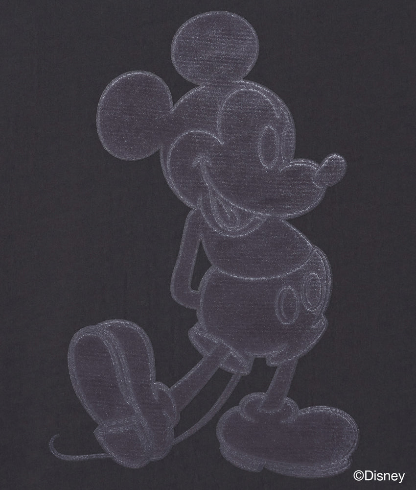 1244-CS01-001 pieces