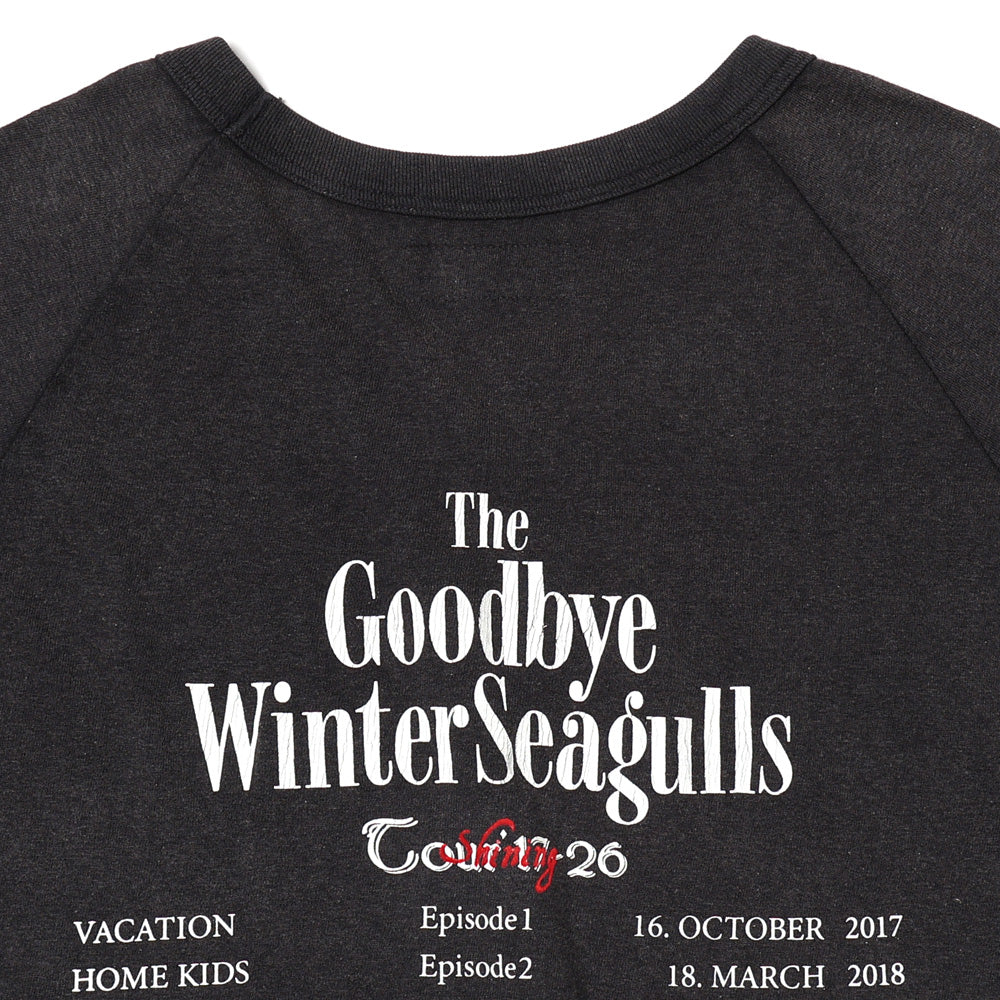 The Winter Seagulls Tour Raglan Tee