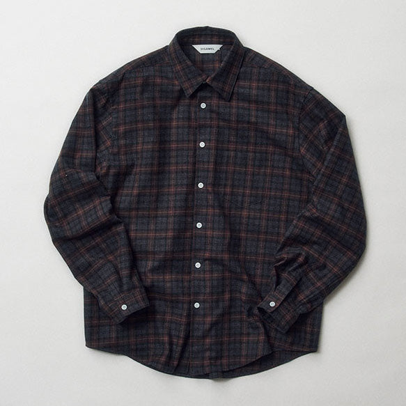 Dress shirt ➀ (check)