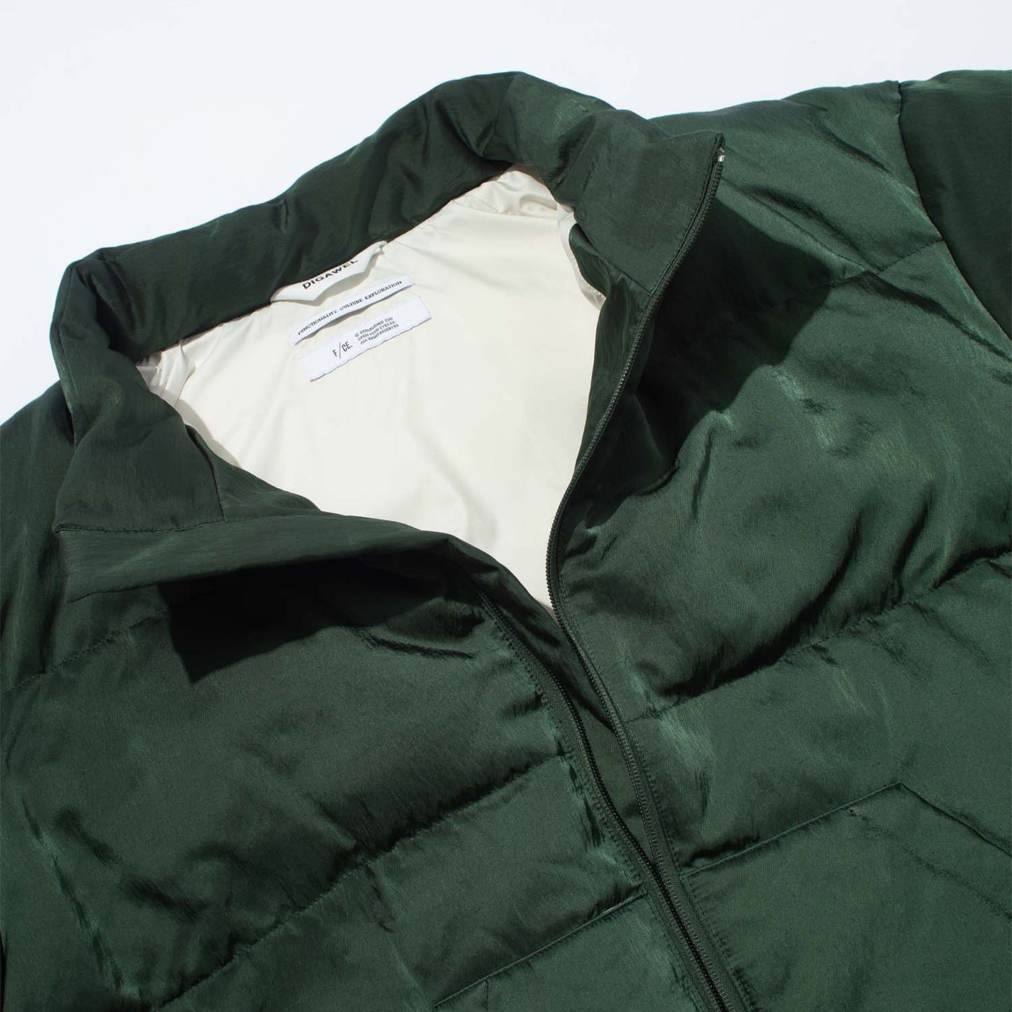 Hoodie puffer jacket (F/CE.×DIGAWEL)