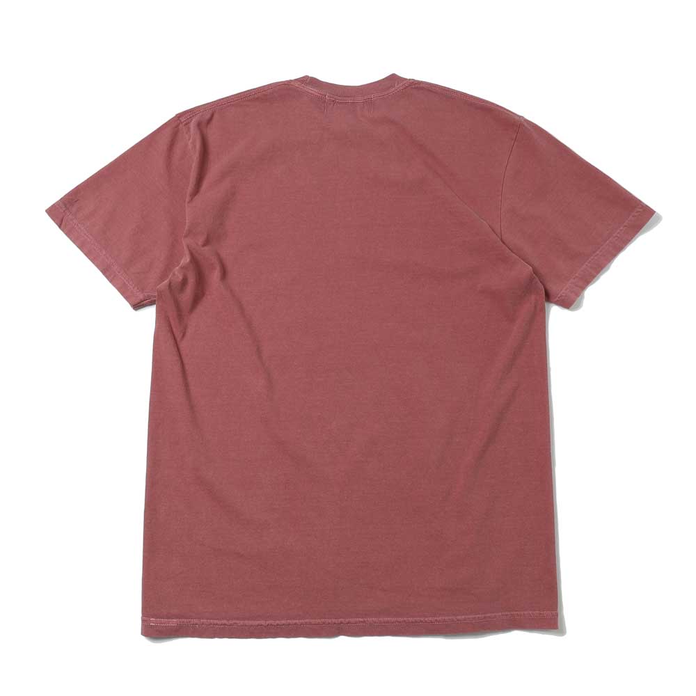 CS PAISLY LOGO TEE