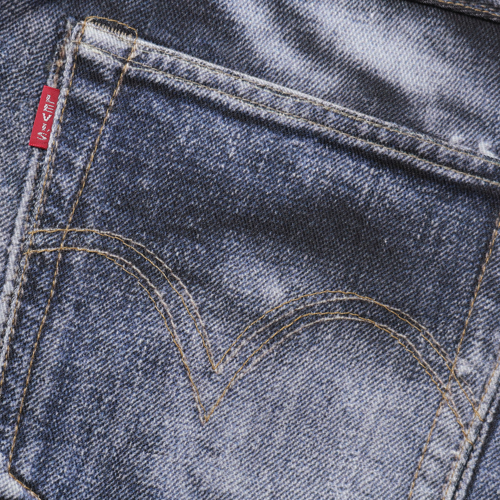 綿ツイル インクジェットプリント Levi's Wネーム BerBerjin P905