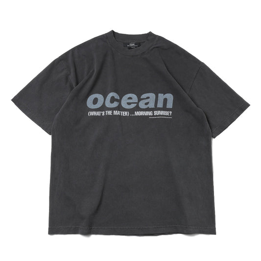 OVERSIZED GARMENT DYE T-SHIRT(OCEAN)