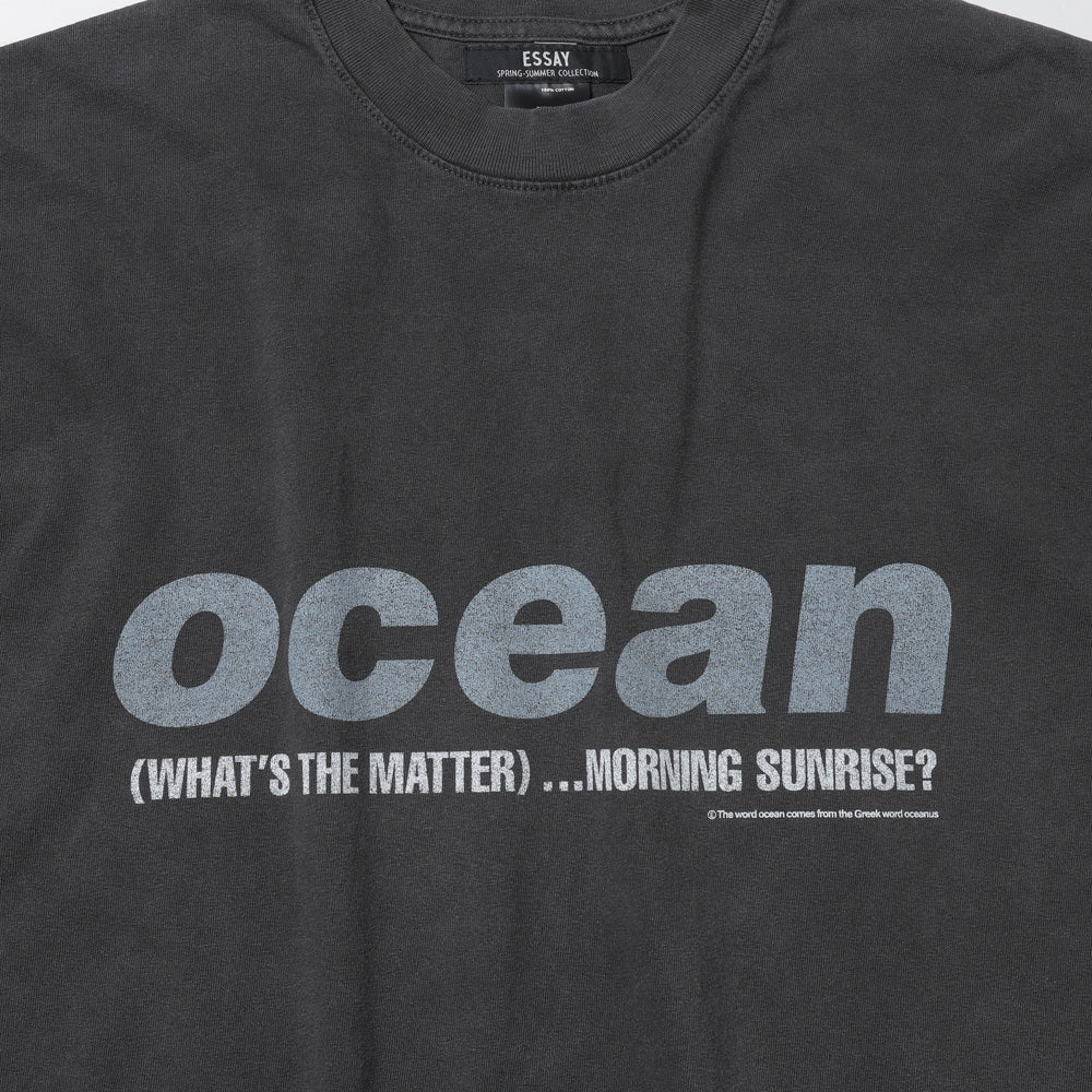 ESSAY(エッセイ)OVERSIZED GARMENT DYE T-SHIRT (ES22TS-02/B) | ESSAY