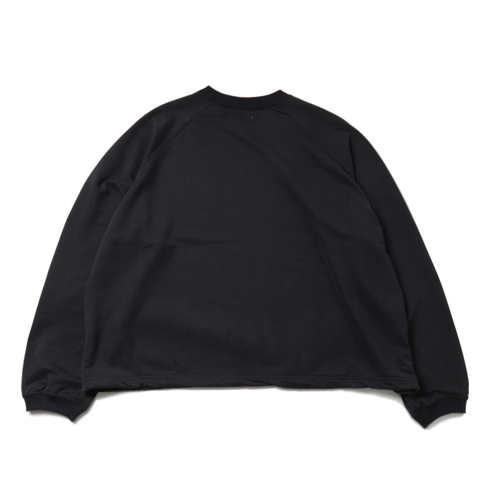 28G Cupro Raglan Pullover, arrived Aug 8