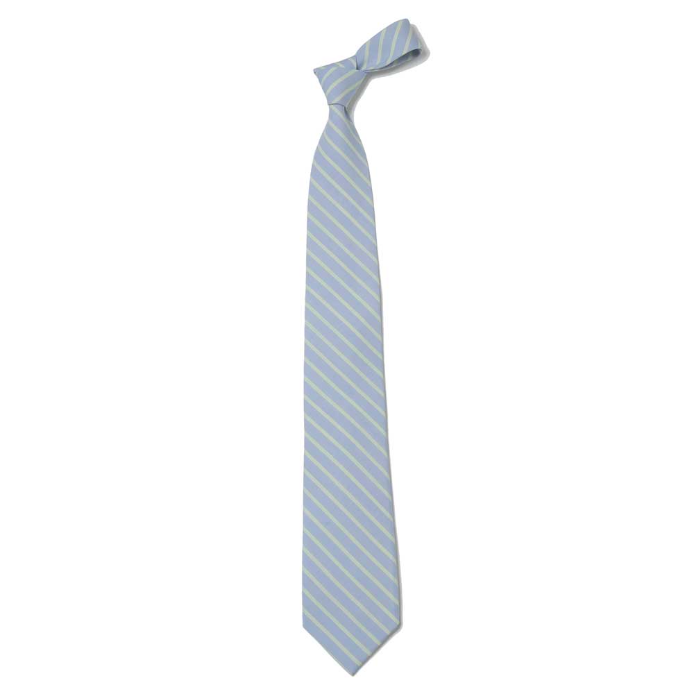 AURALEE) SUPER FINE WOOL STRIPE TIE (A26ST03WW) | AURALEE