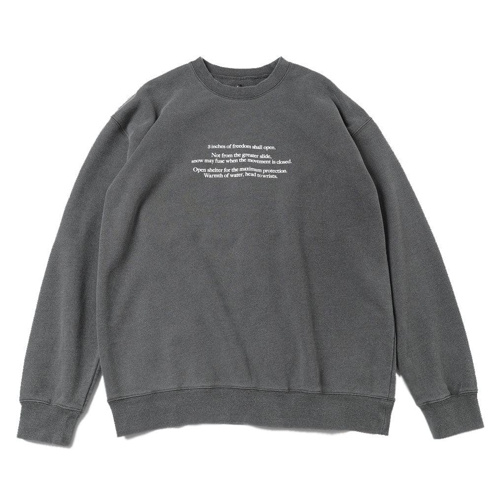 type100(printed)