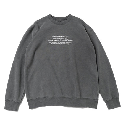 type100(printed)