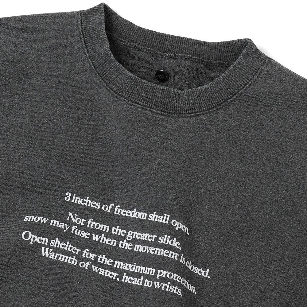 type100(printed)