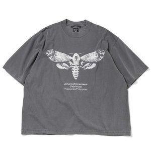 カラー: MOTH / 2