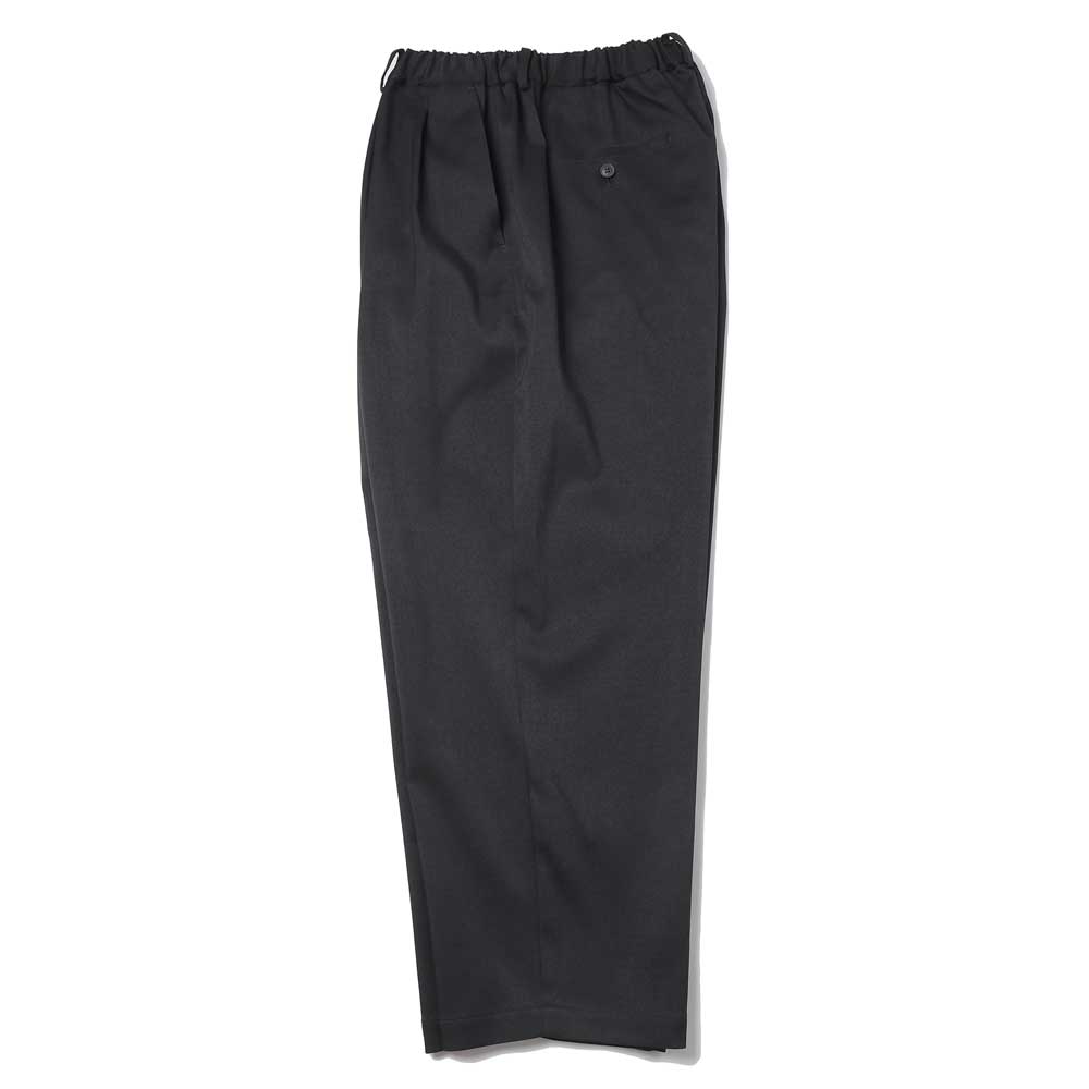 DOUBLE PLEATED EASY PANTS