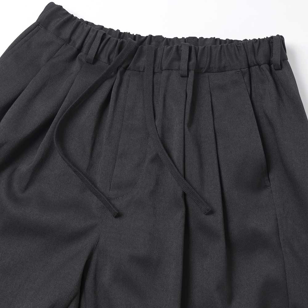 DOUBLE PLEATED EASY PANTS