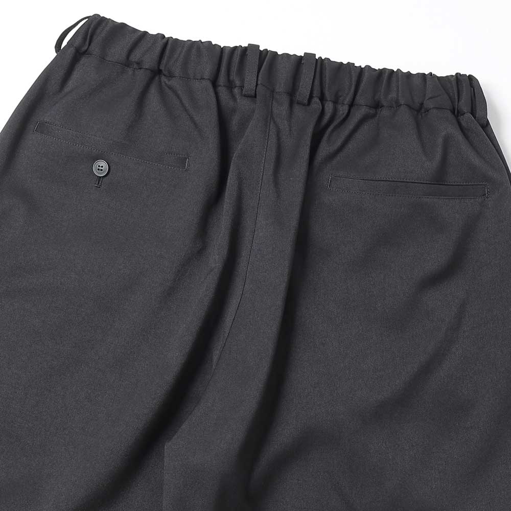 DOUBLE PLEATED EASY PANTS