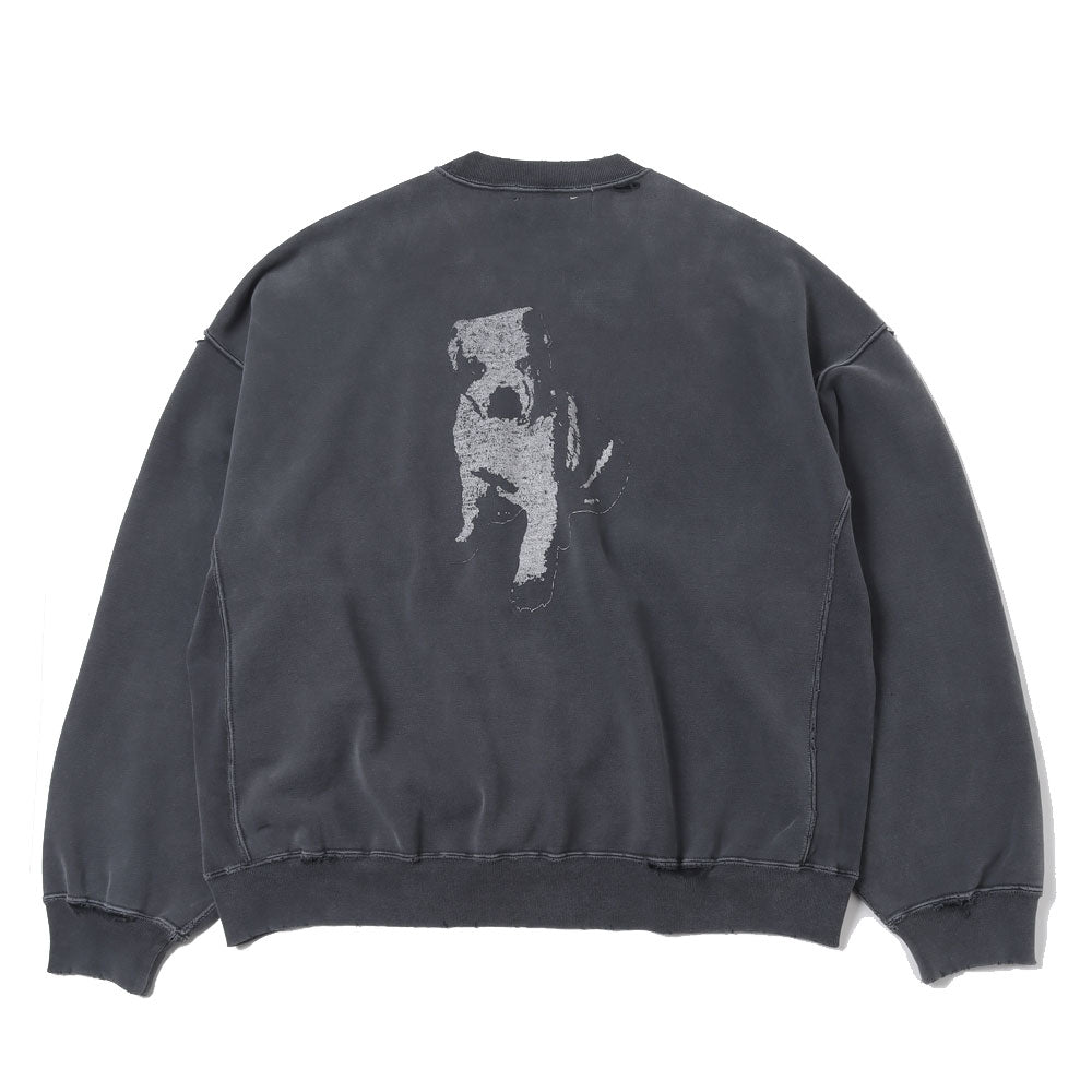 Double SP processed fleece crew (PLAY DEEP)