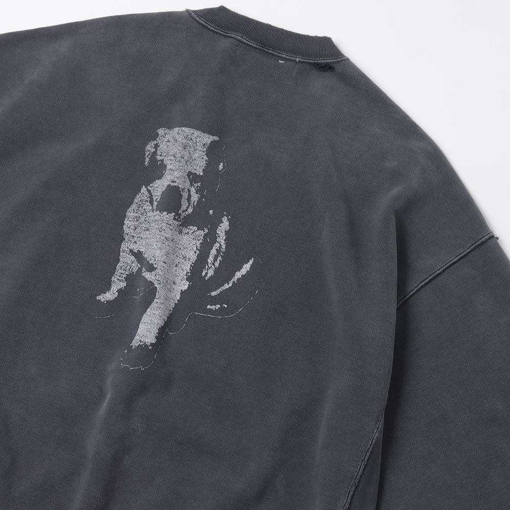Double SP processed fleece crew (PLAY DEEP)
