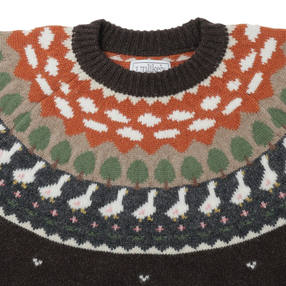 Unlikely Fair Isle Duck