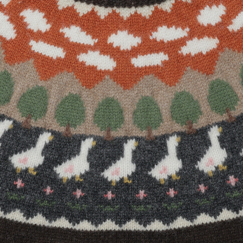 Unlikely Fair Isle Duck