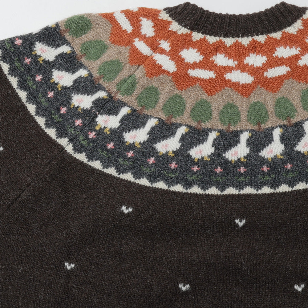 Unlikely Fair Isle Duck