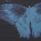 OVERSIZE LONG T-SHIRT(BUTTERFLY)